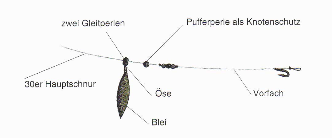 Carphunter Germany - Karpfenangeln - Montagen - Videos - Tipps - Infos ...